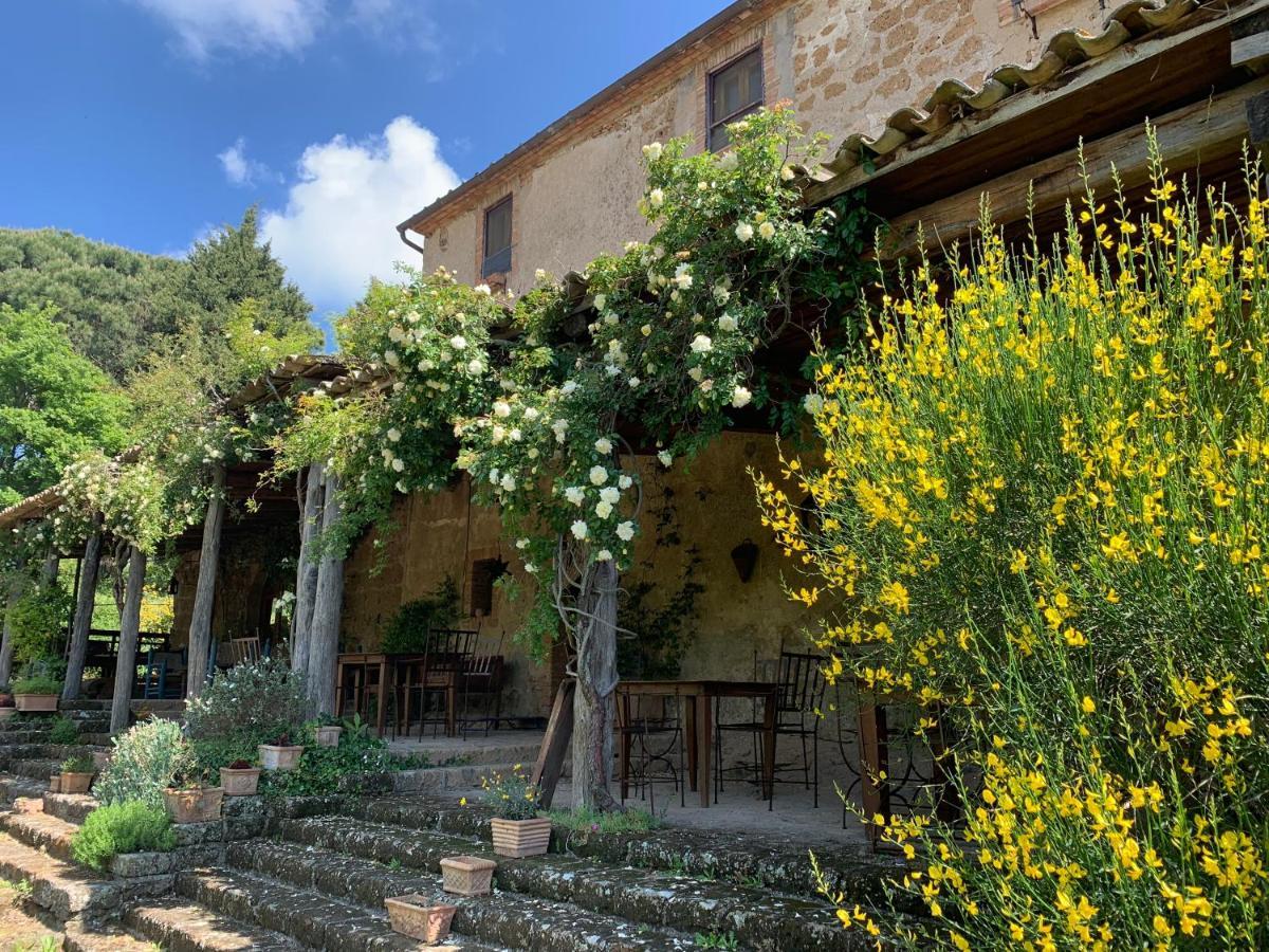 Agriturismo Locanda Settimo Cielo Βίλα Lubriano Εξωτερικό φωτογραφία