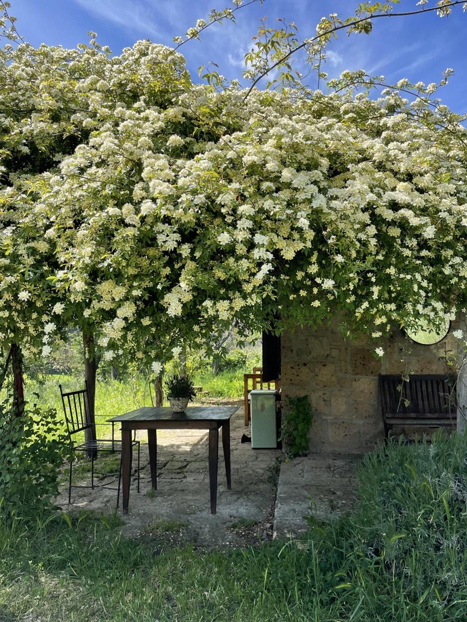 Agriturismo Locanda Settimo Cielo Βίλα Lubriano Εξωτερικό φωτογραφία