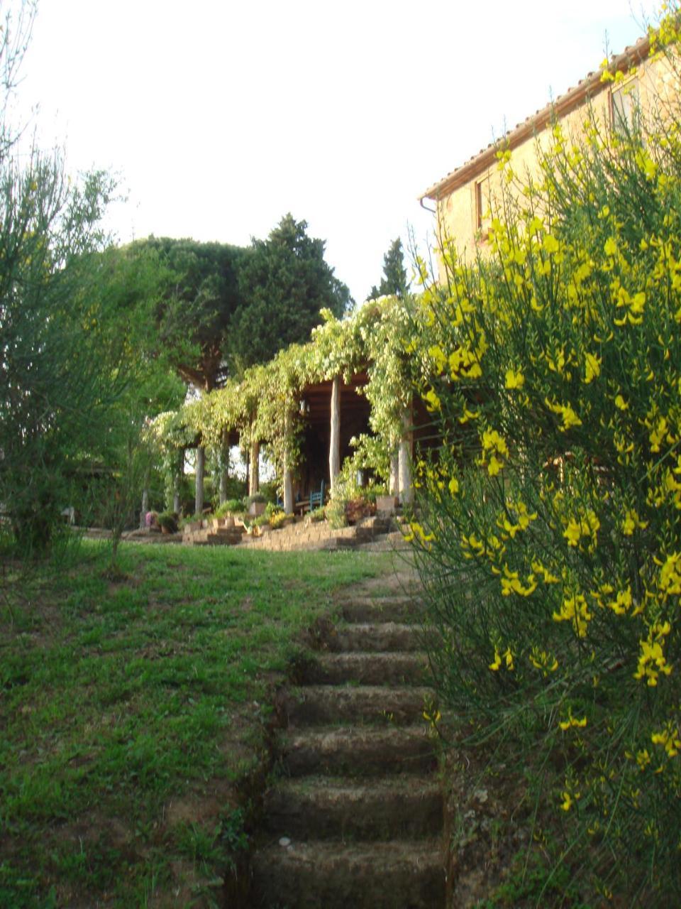 Agriturismo Locanda Settimo Cielo Lubriano Εξωτερικό φωτογραφία